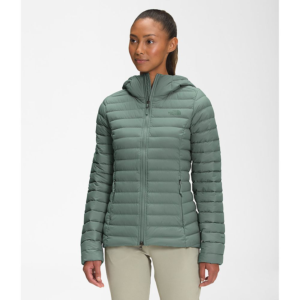 The North Face Hooded Jacket Womens Australia - The North Face Stretch Green (FQZ-279031)